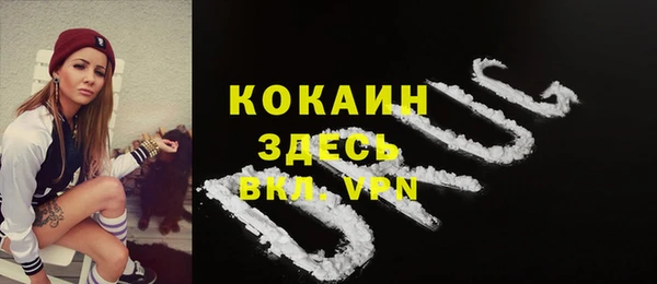 дживик Белокуриха