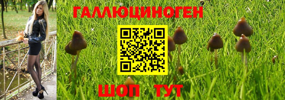 Псилоцибиновые грибы Cubensis  Вход с VPN  Видное 