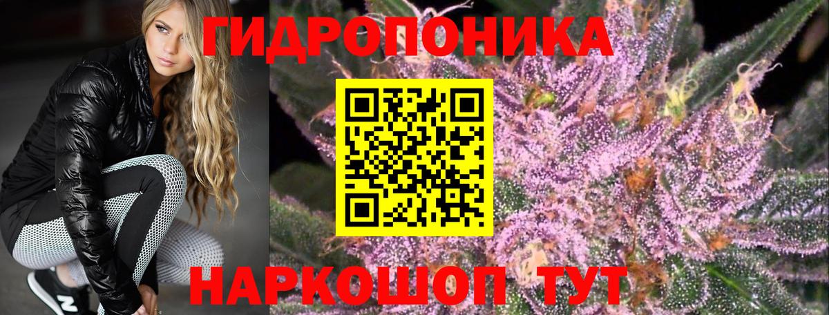 Видное  Бошки марихуана гибрид  Конопля план  МАРИХУАНА White Widow  Конопля конопля  Вход с VPN 